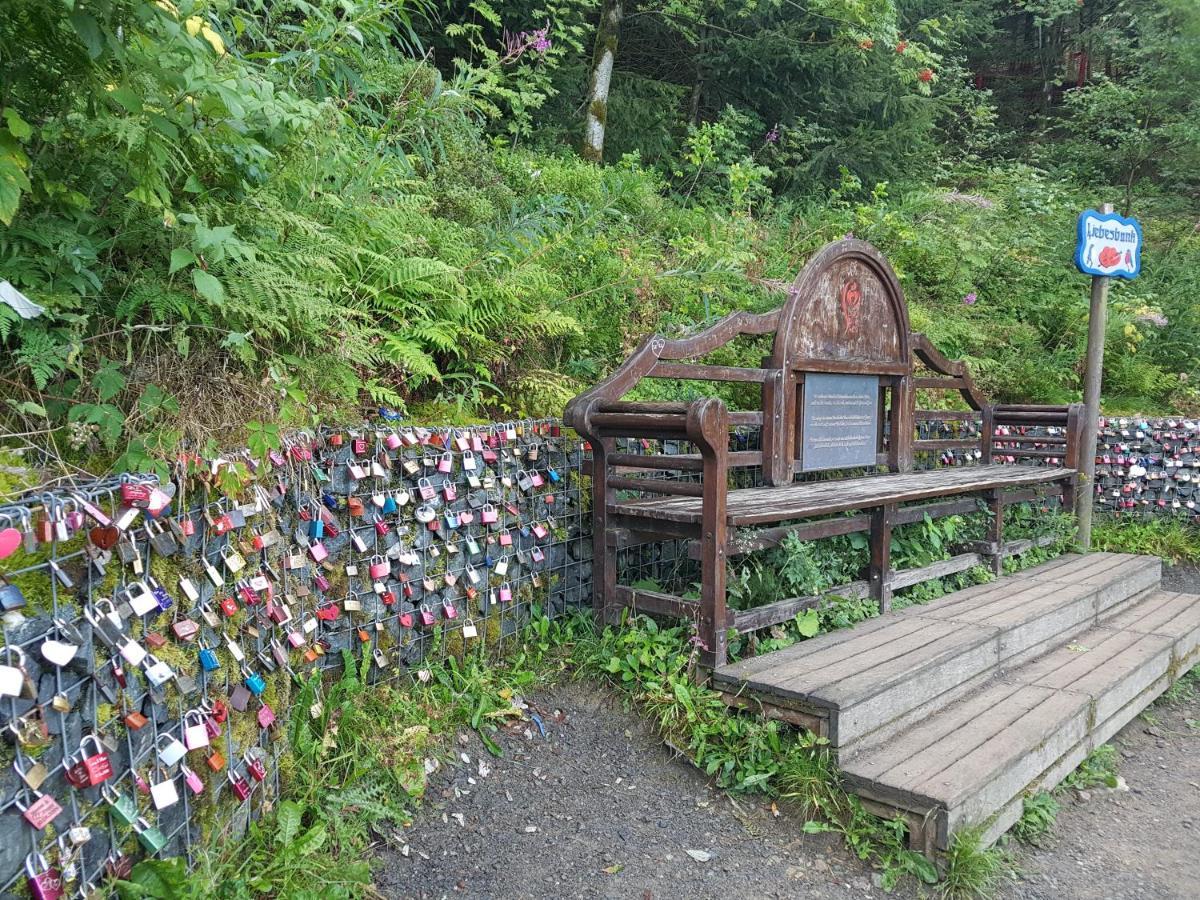 FeWo Nina Exklusiv Design mit Bergblick Goslar Exteriör bild
