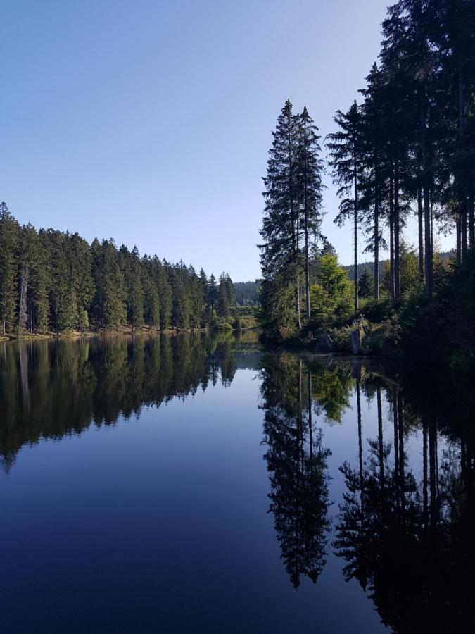 FeWo Nina Exklusiv Design mit Bergblick Goslar Exteriör bild